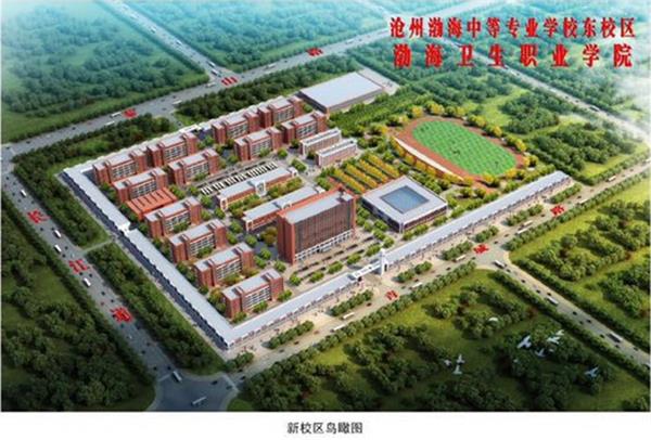 滄州學(xué)幼師為什么選擇滄州渤海專(zhuān)修學(xué)院？