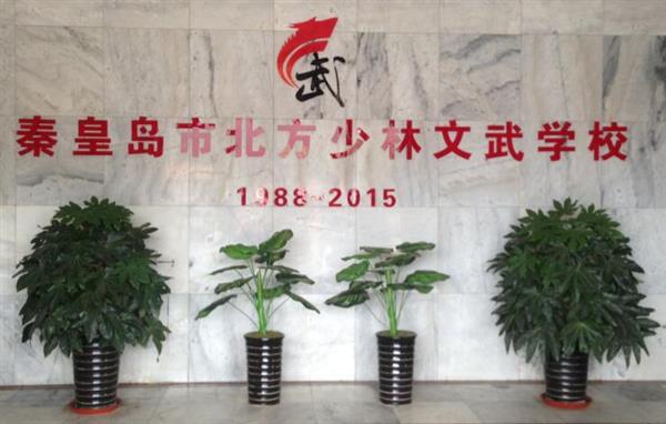 秦皇島北方少林文武學(xué)校就業(yè)如何？這答案你放心！
