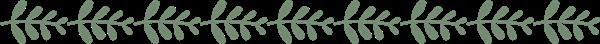 石家莊平安醫(yī)學(xué)中等專業(yè)學(xué)校地址在哪？