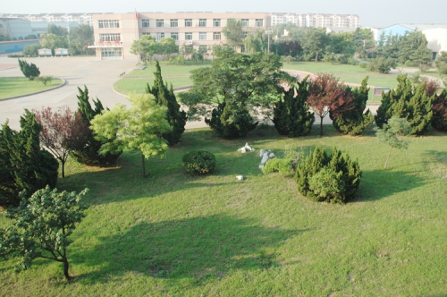 山東龍口礦業(yè)集團高級技工學(xué)校老師們教學(xué)怎么樣？升學(xué)率高嗎？
