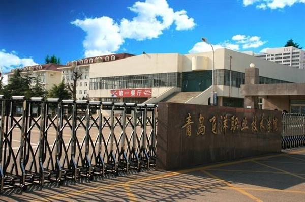 青島飛洋職業(yè)技術(shù)學(xué)院物流管理專業(yè)好嗎？