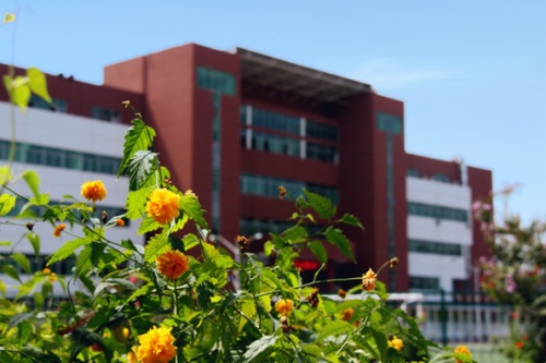 通過單招考取大學(xué)有哪些優(yōu)勢(shì)？