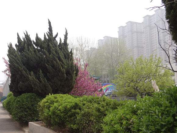煙臺(tái)天虹學(xué)院怎么樣？