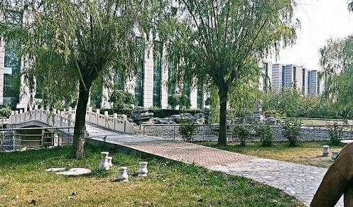 保定那個(gè)學(xué)校可以學(xué)到專業(yè)汽修技術(shù)？