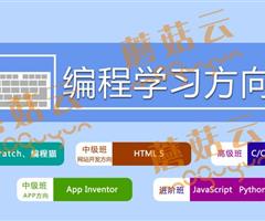 孩子為什么要盡早學(xué)習少兒編程。濟寧蘑菇云少兒編程