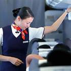 航空服務（票務、安檢方向）、航空乘務定向委培