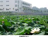 鄭州澍青醫(yī)學(xué)高等?？茖W(xué)校