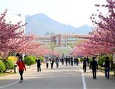 校園風光